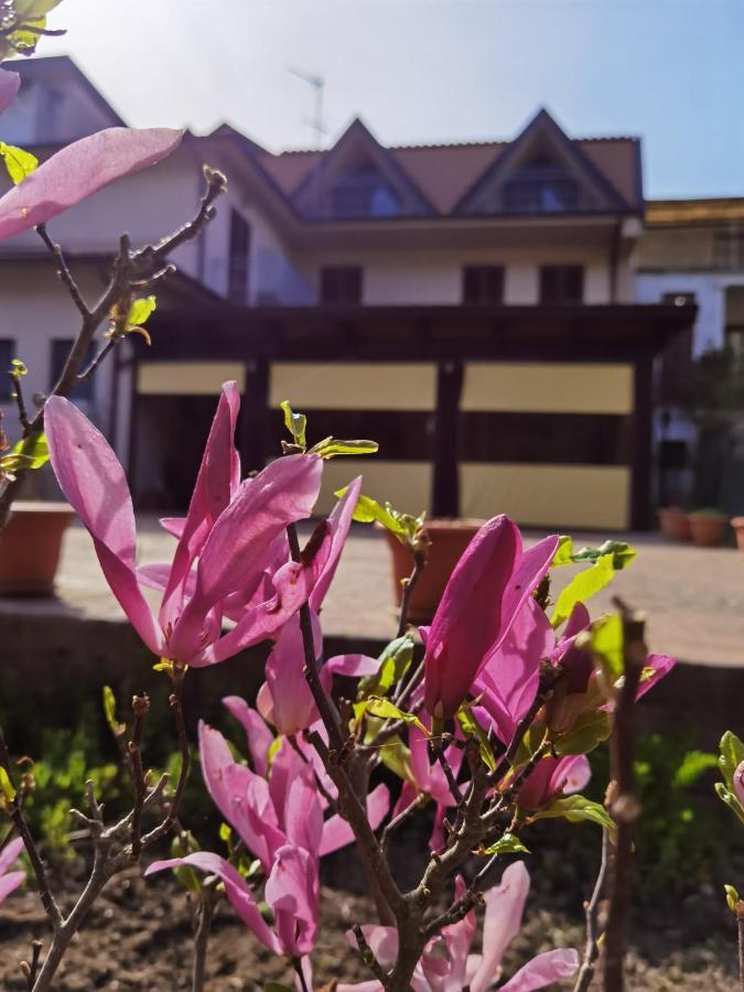 Hotel Edelweiss Laino Borgo Exterior photo